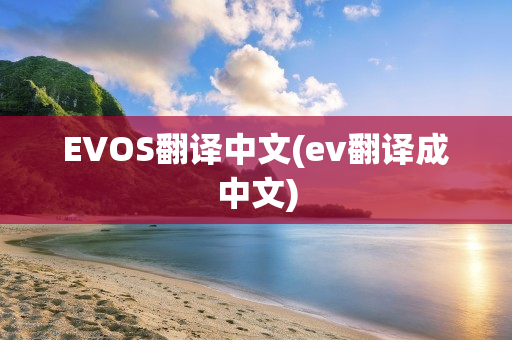 EVOS翻译中文(ev翻译成中文)