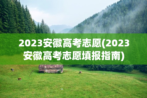 2023安徽高考志愿(2023安徽高考志愿填报指南)