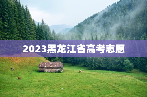 2023黑龙江省高考志愿